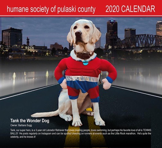 2020 Wall Calendar featuring last year's winner, Tank the Wonder Dog